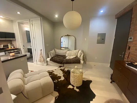 Beautiful Bright No Fee One Bedroom apartment in The Lower East Side of Manhattan