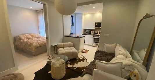 Beautiful Bright No Fee One Bedroom apartment in The Lower East Side of Manhattan
