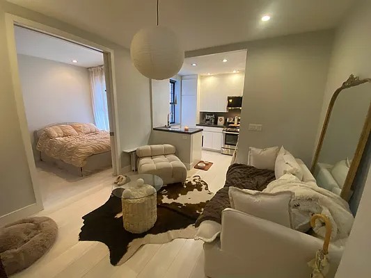 Beautiful Bright No Fee One Bedroom apartment in The Lower East Side of Manhattan