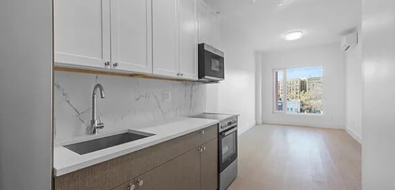 XL Penthouse w/ Gym, Rooftop, Parking & Prospect Park Access – Little Caribbean