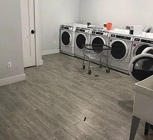 Modern 1BR Duplex in Crown Heights – Luxury, Light & Prime Amenities