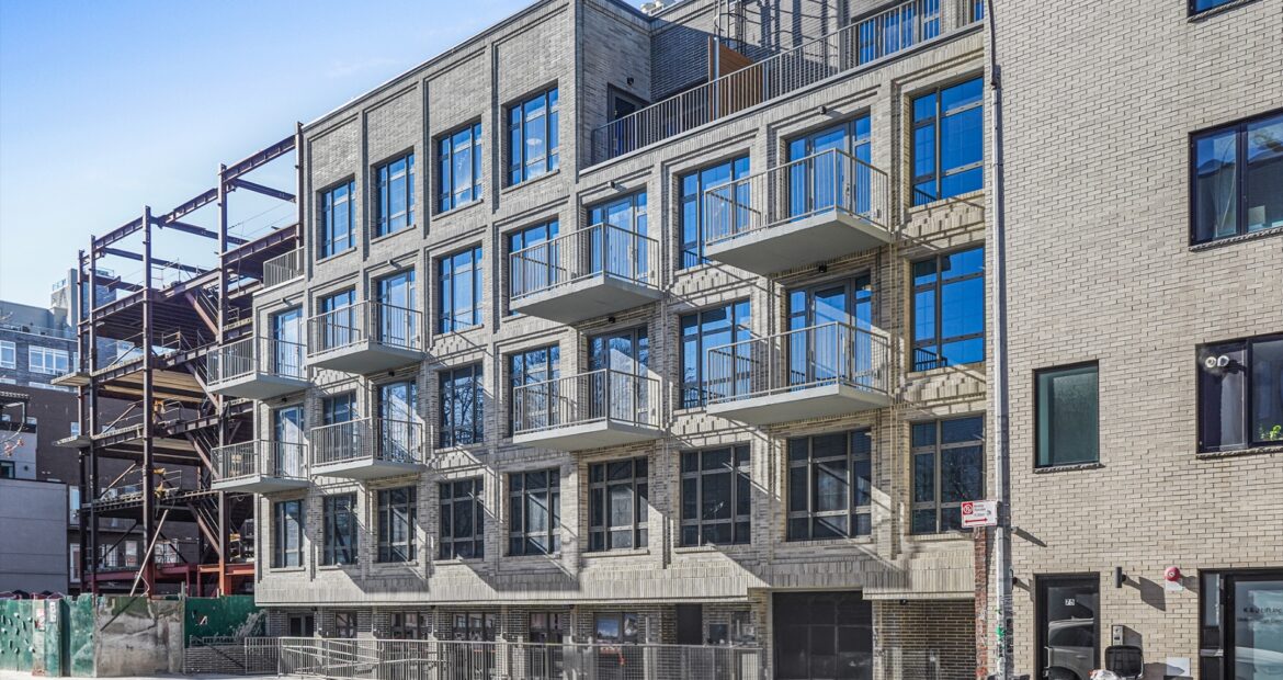 65 Eckford Street: Lower Level Available