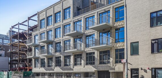 65 Eckford Street: Lower Level Available