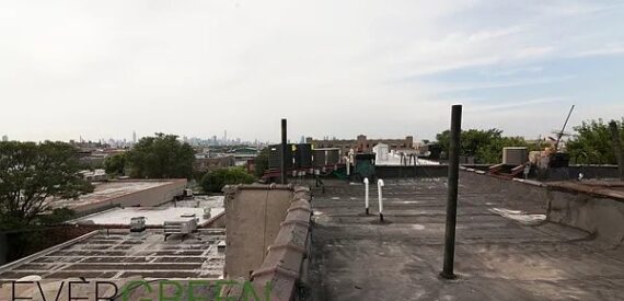 Spacious 3-Bedroom w/ City Views & Roof Deck in Prime Bushwick/East Williamsburg