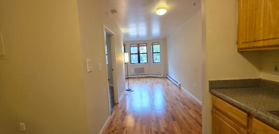 X LARGE__ 2 BED__5 MINUTES MANHATTAN__LARGE LIVING ROOM_PRIME LOCATION