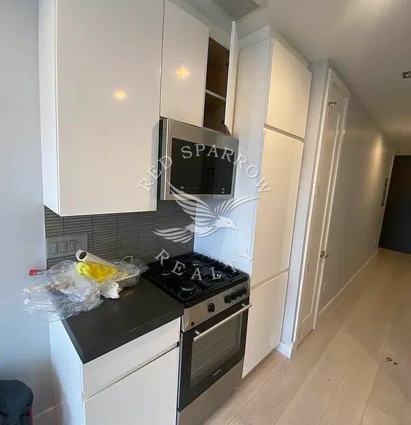 Renovated Bright 1 bedroom Apartment on Stanton Street in the Lower East Side