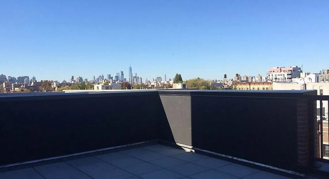 Luxury 1BR Duplex w/ Soaring Ceilings & Rooftop | Steps to G Train | Clinton Hill