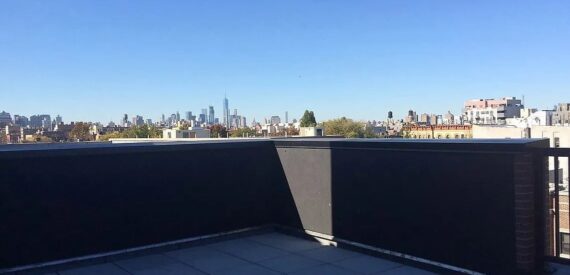 Luxury 1BR Duplex w/ Soaring Ceilings & Rooftop | Steps to G Train | Clinton Hill