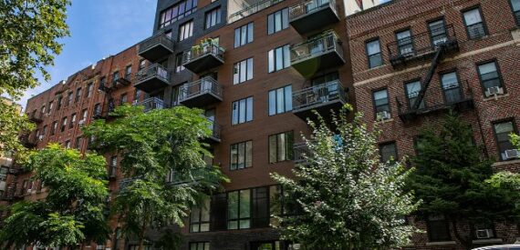 Amazing 2 bed on East 19th Street in Ditmas Park