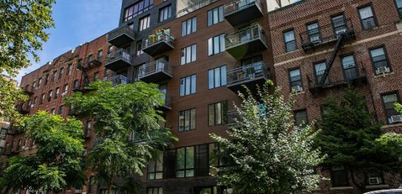 Amazing 1 Bed on East 19th Street in Ditmas Park