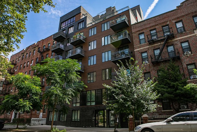 Amazing 1 Bed on East 19th Street in Ditmas Park
