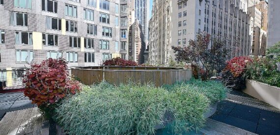 Amazing Studio on Beaver Street in Financial District