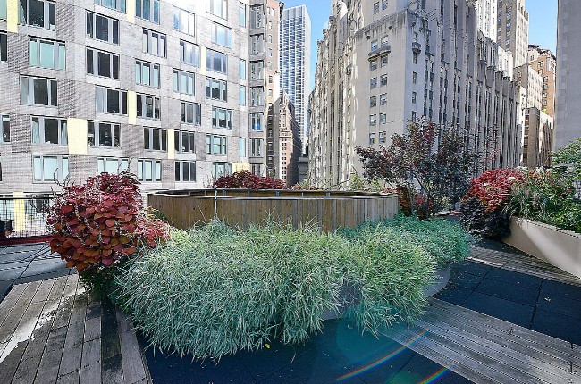 Amazing Studio on Beaver Street in Financial District