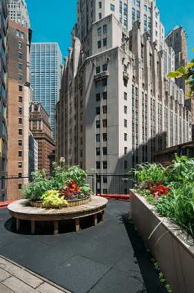 Amazing 3 bed on Beaver Street in Financial District