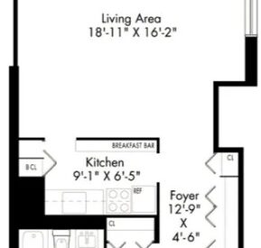 Amazing Studio on Waterside Plaza in Kips Bay