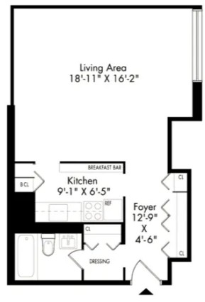 Amazing Studio on Waterside Plaza in Kips Bay