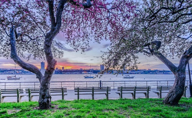 Amazing 3 bed on West End Avenue in upper west side