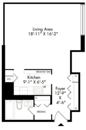 Amazing Studio on Waterside Plaza in Kips Bay