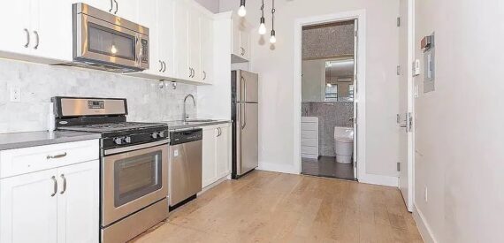 Luxury 1BR Duplex w/ Soaring Ceilings & Rooftop | Steps to G Train | Clinton Hill