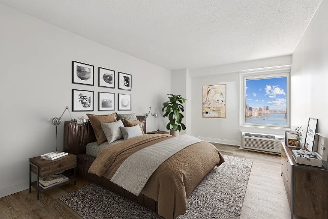 Amazing Studio on Waterside Plaza in Kips Bay