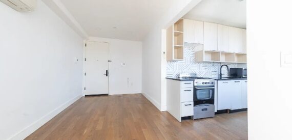 Amazing 2 bed on East 19th Street in Ditmas Park
