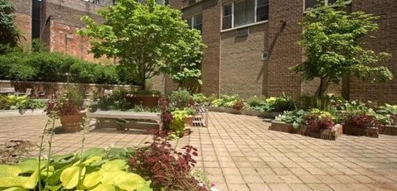 Amazing 1 bed on Elizabeth Street in Noho