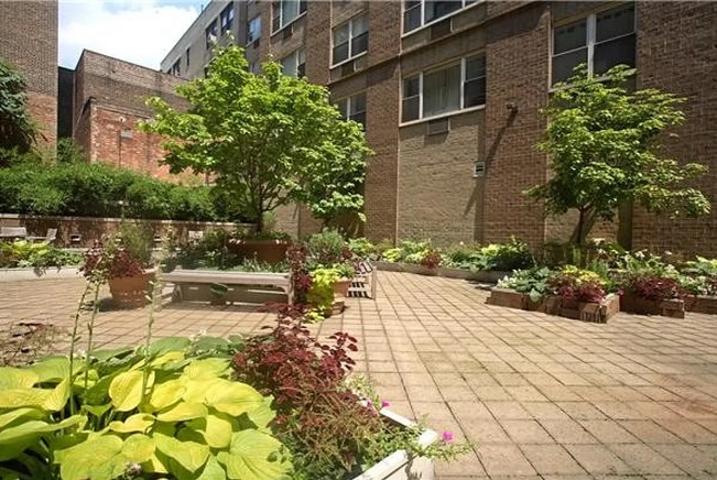Amazing 1 bed on Elizabeth Street in Noho
