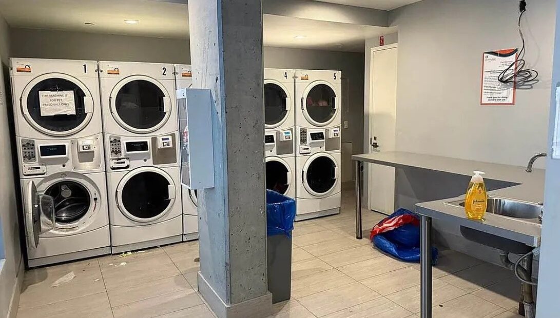 X-Large 2BR in Prime Crown Heights – Modern, Sunlit, Pet-Friendly, No Fee!