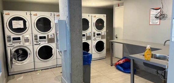 X-Large 2BR in Prime Crown Heights – Modern, Sunlit, Pet-Friendly, No Fee!